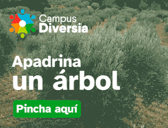 arebolweb